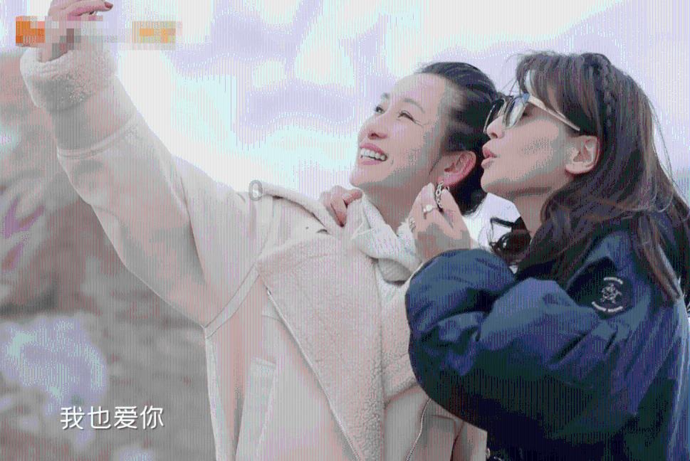 寻找迷路的松鼠